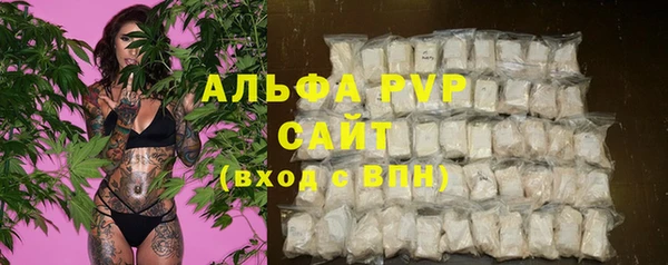 сатива Алексин