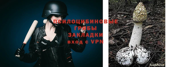 сатива Алексин
