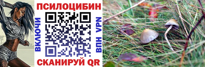 площадка наркотические препараты  Апрелевка  Галлюциногенные грибы GOLDEN TEACHER 