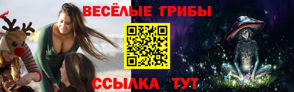 Псилоцибиновые грибы MAGIC MUSHROOMS Апрелевка