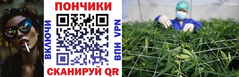 Бошки Шишки THC 21%  Апрелевка 